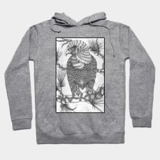 Bold Among Pines Hoodie